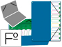 CARPETA CLASIFICADOR TAPA DE PLASTICO PARDO FOLIO -9 DEPARTAMENTOS AZUL